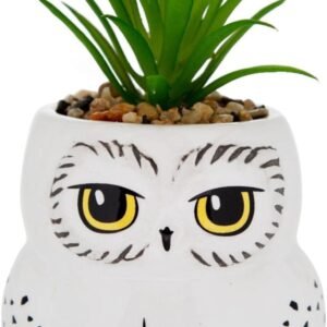 Harry Potter Hedwig 3-Inch Ceramic Mini Planter with Artificial Succulent | Small Flower Pot, Faux Indoor Plants For Desk Shelf, Home Decor Trinket Tray | Wizarding World Gifts and Collectibles