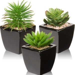 Hollyone Small Succulents Artificial 3 Pcs Faux Succulents in Pots Fake Succulent Plants with Black Ceramic Pots for Contemporary Home Office Desk Bathroom Shelf Living Room Decor